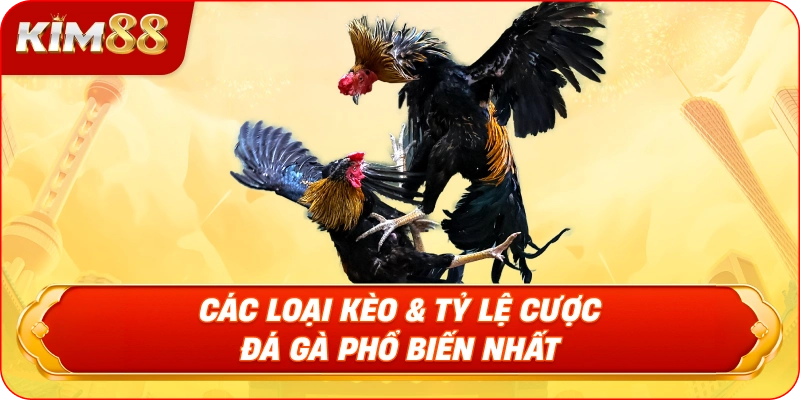 Các Loại Kèo & Tỷ Lệ Cược Đá Gà Phổ Biến Nhất